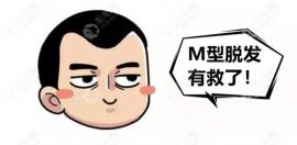 m型二級脫發(fā)需要的費(fèi)用,不止與種多少個毛囊單位有關(guān)