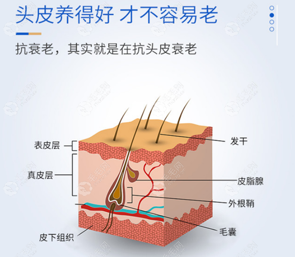 大麦养发一般需要多少钱?远红外治疗/头皮抗炎精华价格不同