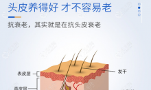 大麦养发一般需要多少钱?远红外治疗/头皮抗炎精华价格不同