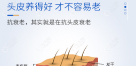 大麦养发一般需要多少钱?远红外治疗/头皮抗炎精华价格不同