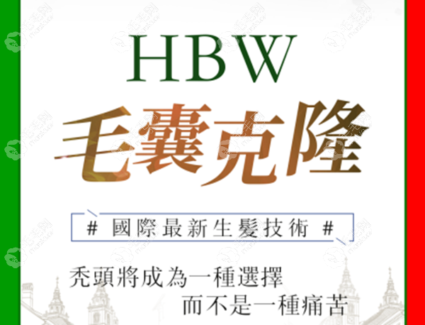 HBW意大利引进新技术