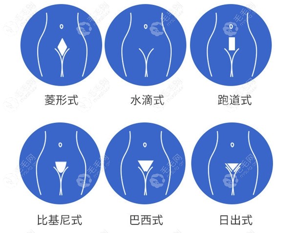 私密种植大概需要多少毛囊单位,连比基尼种植的费用一并get