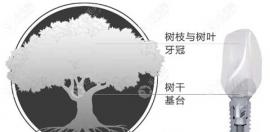 韩国奥齿泰和美国皓圣植体从质量、区别、优劣势看哪个好?
