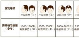 种植2000根头发有多大面积?这与自身需求的植发单位密度相关