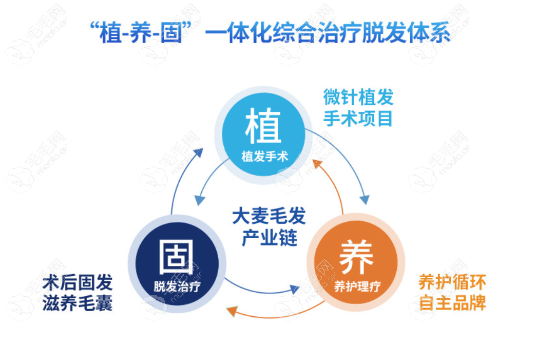 杭州大麦微针植养护说明