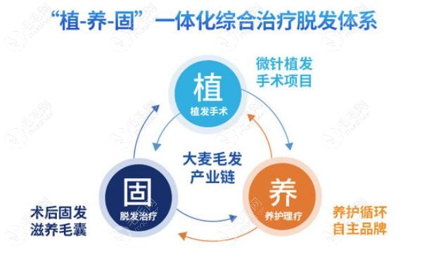 大麦科发源的AQ和ST生长因子是植养固体系的重要组成