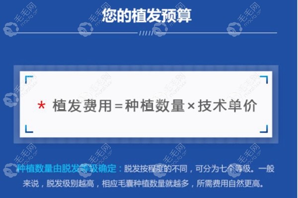 湛江植发多少钱?从一个单位价格算出发际线植发3000毛囊费用