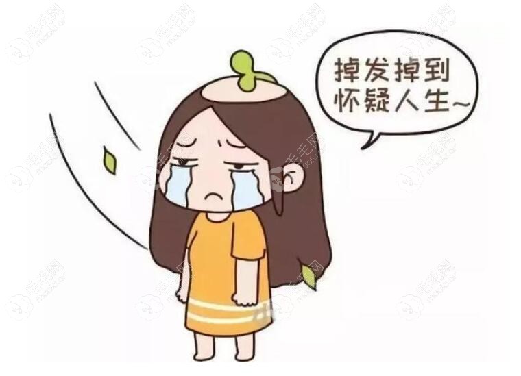 女性额头两侧脱发是什么原因?有人说通过植发恢复是真的吗