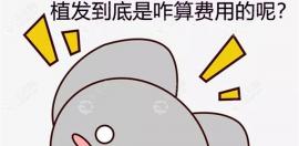 国内医院做植发是怎么收费的,毛囊单位还是头发根数或面积?