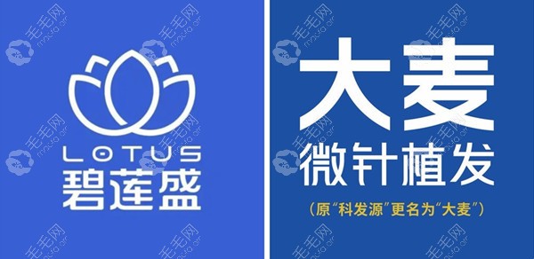 碧莲盛sht跟科发源pse哪个技术更好?都是微针植发有什么区别