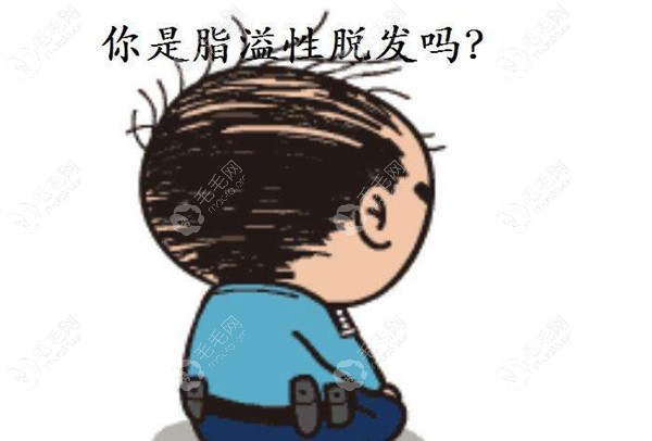 除脂生发片治疗脂溢性脱发有用吗?我吃了一年长出新头发了