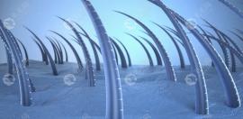 取发区或植发区有毛囊炎会影响植发的成活率及后期生长吗?