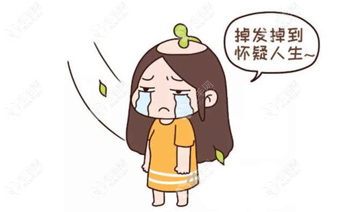 家人们南通哪里植发比较靠谱实惠?秃头少女在线求推荐~