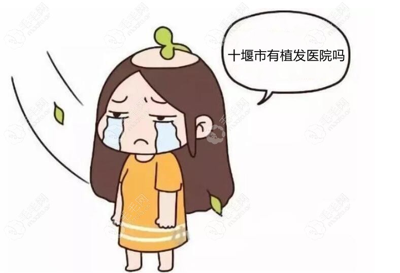 一看便知十堰哪家医院有毛发移植以及他们是怎么植发的