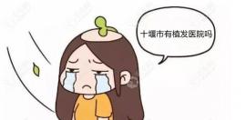 一看便知十堰哪家医院有毛发移植以及他们是怎么植发的