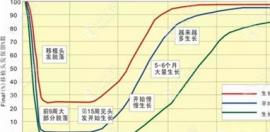 寶石刀種植的發(fā)際線多久后可以補(bǔ)?再種用寶石刀還是微針
