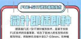 SHT植发技术好吗?微针植发技术取发部位基本没有小白点哦！