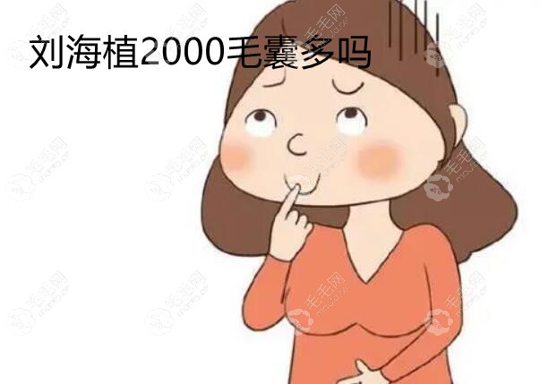 植2000毛囊多不多