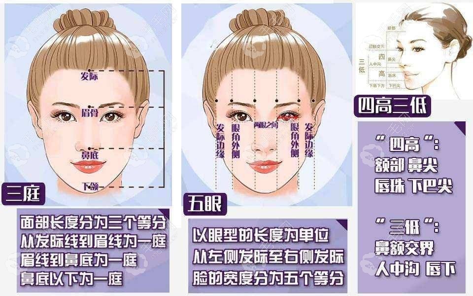 熙朵会根据美学标准设计发际线