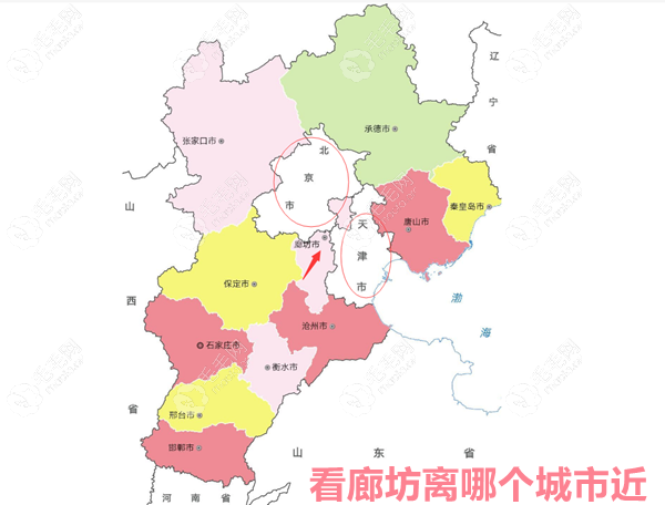 廊坊地区有什么植发医院?排名中固安等地正规医院多给说点