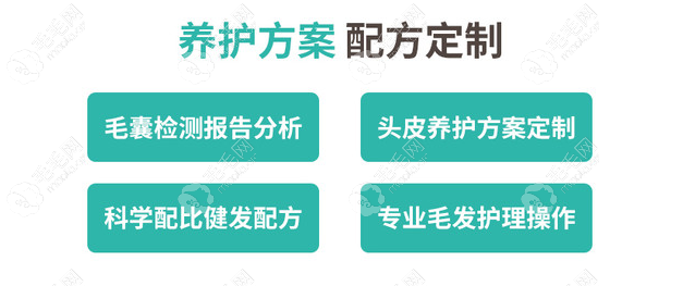 正规的毛囊营养护理都是有独特方案的哦