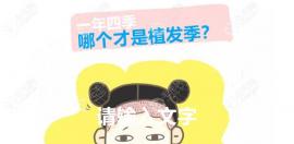 什么季节植发存活效果好?春夏秋冬中是冬天植发好还是春天?