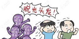 头顶见白植发数量要多少才可以掩盖头皮？