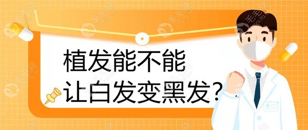 白发可以植发变成黑发吗,我前额少量白发能经过植发改善吗