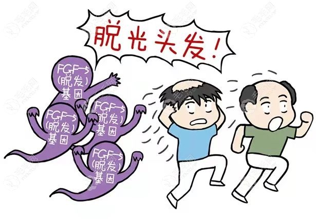 已解答|中间头发少是不是要秃顶了?有什么能变浓密的方法