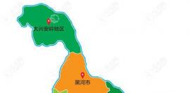 LOOK鹤岗市哪里有植发哪个医院可以补发种头发