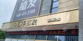 【价格】苏州百年发际线种植价格来啦，速速参考