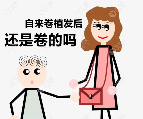 自来卷植发后头发还会卷