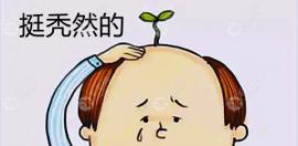 東莞禿頂植發(fā)需要多少錢，小編以FUE技術為例為你解答