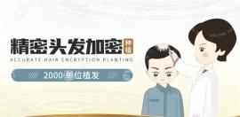 植发2000毛囊单位花1万元和四万多哪个靠谱，你知道吗