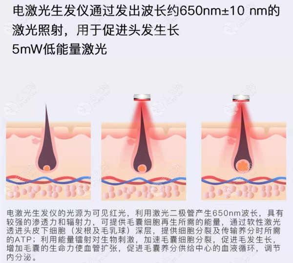 半岛生发帽作用