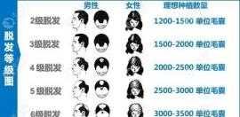 植發(fā)知道單位和密度怎樣算價(jià)錢(qián)?還得知道各類(lèi)植發(fā)技術(shù)單價(jià)