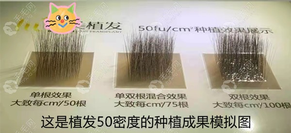 这是某医院种植密度是50的成果展示图，这密度也不错呦