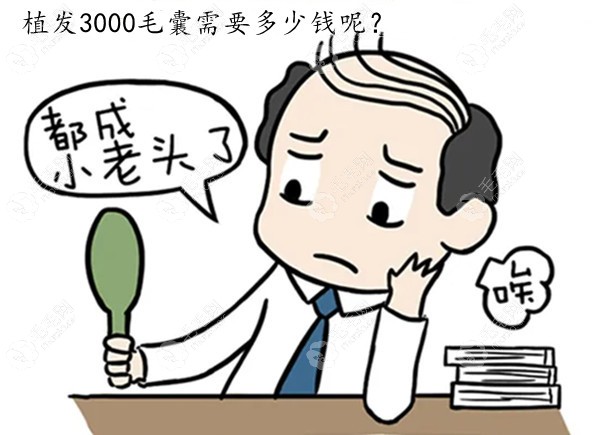 华美植发3000毛囊单位要多少钱？