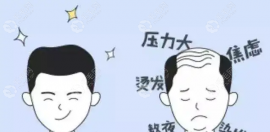 整個頭可以植發(fā)嗎，得需要多少個毛囊單位呀