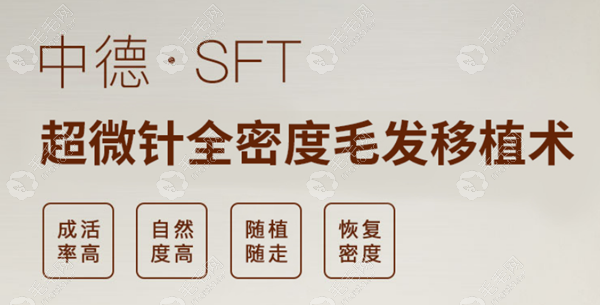 北京中德SFT显微技术单价