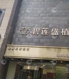 銀川碧蓮盛植發(fā)