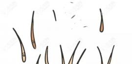 南昌种植发际线多少钱,来看植一个毛囊的价格表喽