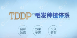 tddp植發(fā)多少錢？北京/上海/浙江/合肥tddp植發(fā)技術(shù)的價格一樣