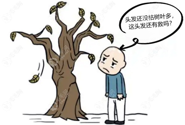 怎么样改善脱发