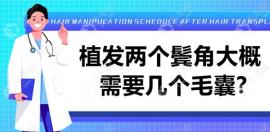 植发两个鬓角大概需要几个毛囊?我花几千够植鬓角吗