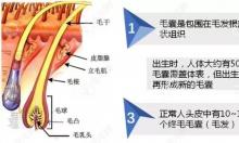 中胚层微针一次多少钱?以碧莲盛美丝沛|大麦一个疗程价格说