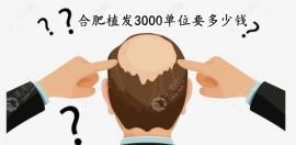 合肥植发3000单位要多少钱,合肥曙光|大麦微针植发价格不同