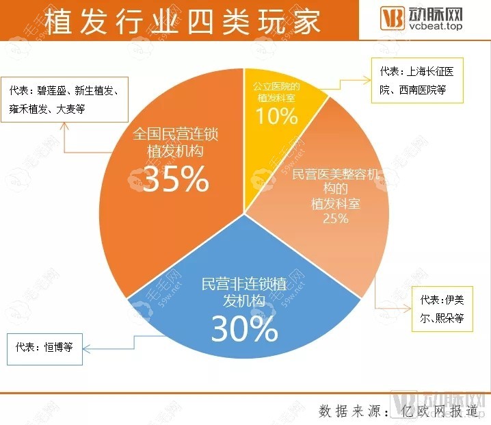 植发专科医院在植发行业占比较重