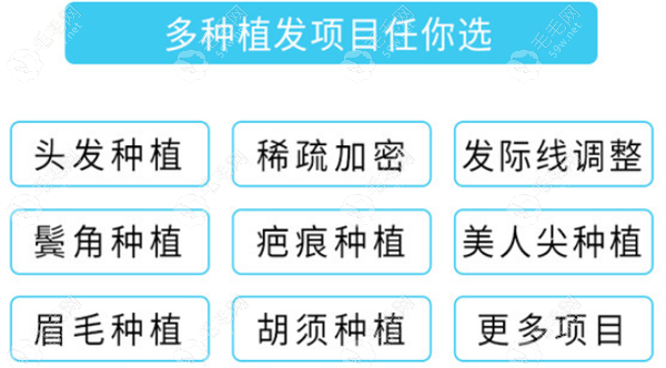 达芬奇开设多种毛发移植项目