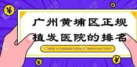 广州黄埔区正规植发医院的排名榜,正规还出名的是熙朵|贞韩